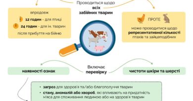 ПЕРЕДЗАБІЙНИЙ ТА ПІСЛЯЗАБІЙНИЙ ОГЛЯД ТВАРИН З 1 БЕРЕЗНЯ 2026 РОКУ: ЩО ТРЕБА ЗНАТИ ОПЕРАТОРАМ БОЄНЬ 