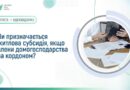 ЧИ ПРИЗНАЧАЄТЬСЯ ЖИТЛОВА СУБСИДІЯ, ЯКЩО ЧЛЕНИ ДОМОГОСПОДАРСТВА ЗА КОРДОНОМ ЧИ ПРИЗНАЧАЄТЬСЯ ЖИТЛОВА СУБСИДІЯ, ЯКЩО ЧЛЕНИ ДОМОГОСПОДАРСТВА ЗА КОРДОНОМ