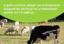 ВІДСЬОГОДНІ У ДАР СТАРТУЄ ДОБІР НА СПЕЦІАЛЬНІ БЮДЖЕТНІ ДОТАЦІЇ НА УТРИМАННЯ КОРІВ, КІЗ ТА ОВЕЦЬ ВІДСЬОГОДНІ У ДАР СТАРТУЄ ДОБІР НА СПЕЦІАЛЬНІ БЮДЖЕТНІ ДОТАЦІЇ НА УТРИМАННЯ КОРІВ, КІЗ ТА ОВЕЦЬ