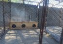 ПРОБЛЕМА БЕЗПРИТУЛЬНИХ ТВАРИН У АРЦИЗЬКІЙ ГРОМАДІ, НА ЖАЛЬ, ЗАЛИШАЄТЬСЯ АКТУАЛЬНОЮ ТА ПОТРЕБУЄ КОМПЛЕКСНОГО ПІДХОДУ