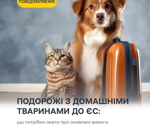 З 22 КВІТНЯ 2026 РОКУ В ЄВРОПЕЙСЬКОМУ СОЮЗІ НАБУЛИ ЧИННОСТІ ОНОВЛЕНІ ВИМОГИ ЩОДО НЕКОМЕРЦІЙНОГО ПЕРЕМІЩЕННЯ ДОМАШНІХ ТВАРИН ІЗ ТРЕТІХ КРАЇН