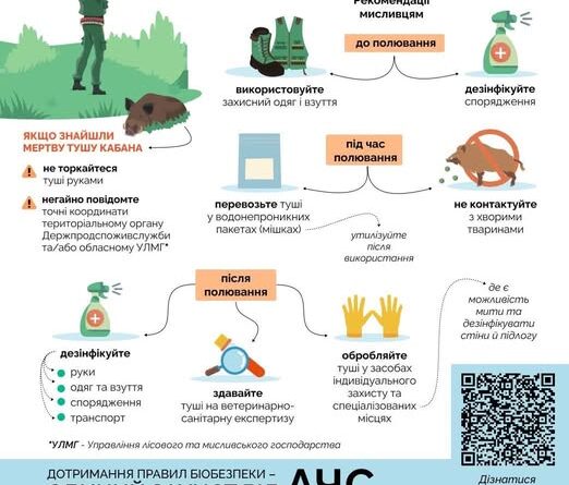 ЯК НЕ ЗАНЕСТИ ВІРУС АФРИКАНСЬКОЇ ЧУМИ СВИНЕЙ З ДИКОЇ ПРИРОДИ ЯК НЕ ЗАНЕСТИ ВІРУС АФРИКАНСЬКОЇ ЧУМИ СВИНЕЙ З ДИКОЇ ПРИРОДИ