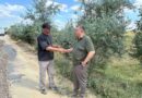 НОВИНИ ГРОМАД: ДОРОГА ДО ПЕТРІВСЬКА – ЩЕ ОДИН КРОК ДО РОЗВИТКУ БЕССАРАБСЬКОЇ ГРОМАДИ