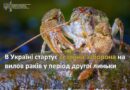 В УКРАЇНІ СТАРТУЄ СЕЗОННА ЗАБОРОНА НА ВИЛОВ РАКІВ У ПЕРІОД ДРУГОЇ ЛИНЬКИ