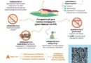БУДЬ-ЯКІ ЗМІНИ У ПОВЕДІНЦІ СВИНІ НЕОБХІДНО РОЗГЛЯДАТИ ЯК МОЖЛИВІ ОЗНАКИ ЗАХВОРЮВАННЯ НА АФРИКАНСЬКУ ЧУМУ СВИНЕЙ