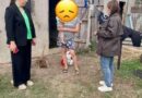 НОВИНИ ГРОМАД: СПЕЦІАЛІСТИ СЛУЖБИ У СПРАВАХ ДІТЕЙ АРЦИЗЬКОЇ МІСЬКОЇ РАДИ ПРОВЕЛИ ПЛАНОВИЙ КОМПЛЕКСНИЙ ПРОФІЛАКТИЧНИЙ РЕЙД НА ТЕРИТОРІЇ ПРЯМОБАЛКІВСЬКОГО СТАРОСТАТУ