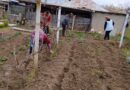 НОВИНИ ГРОМАД: ТУРБОТА ПРО ТИХ, ХТО ЦЬОГО ПОТРЕБУЄ – ВІДДІЛ ЖКГ КУБЕЙСЬКОЇ СІЛЬСЬКОЇ РАДИ ДОПОМАГАЄ ЛЮДЯМ ПОХИЛОГО ВІКУ