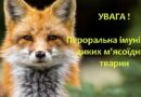 В БОЛГРАДСЬКОМУ РАЙОНІ ПРОВОДИТЬСЯ КАМПАНІЯ ПРЕРОРАЛЬНОЇ ІМУНІЗАЦІЇ ДИКИХ М’ЯСОЇДНИХ ТВАРИН